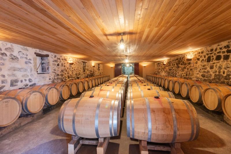 Château - 1 160 m² - 20 pièces