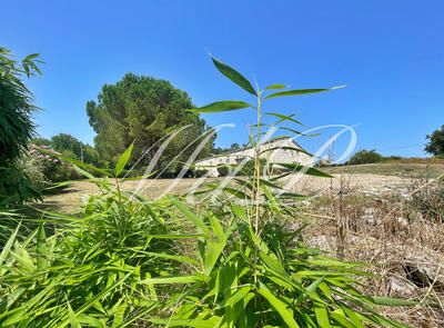 Maison de campagne - 360 m² - 11 pièces