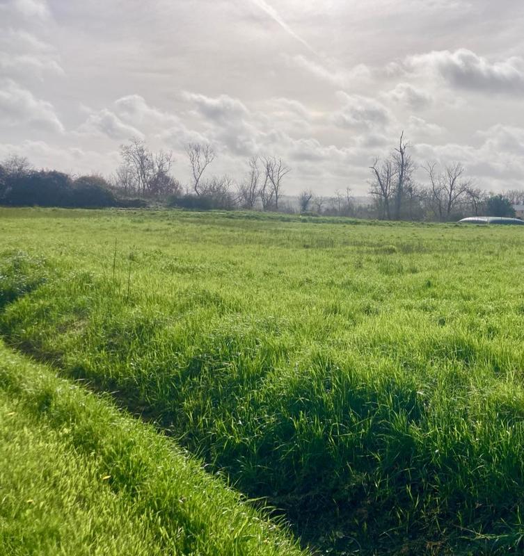 Terrain constructible - 1 700 m²