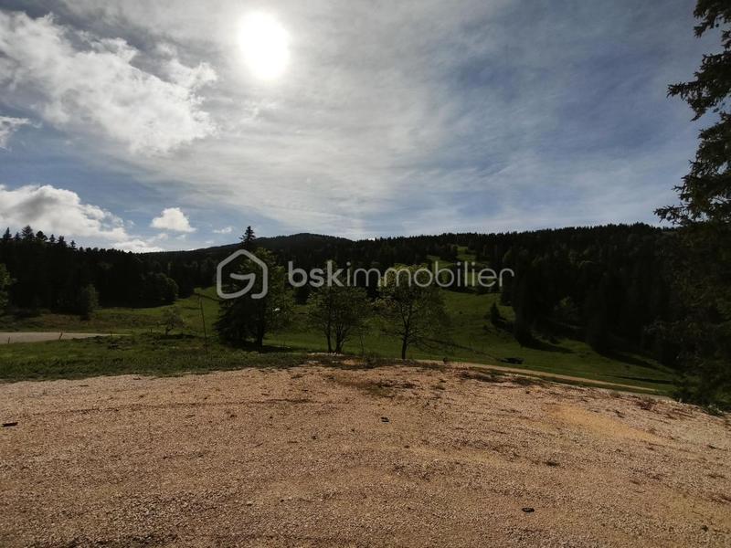 Ferme - 303 m² - 8 pièces