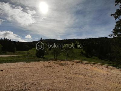 Ferme - 303 m² - 8 pièces