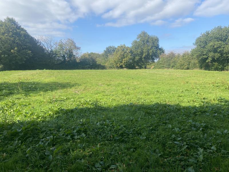 Maison ancienne - 75 m² - 3 pièces