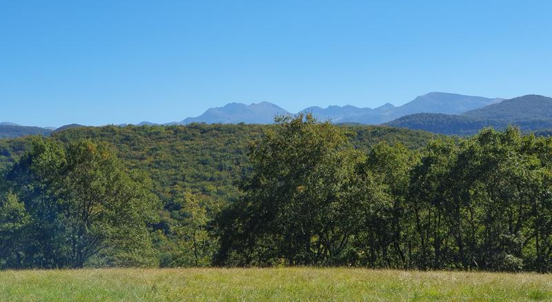 Maison de domaine - 570 m² - 20 pièces