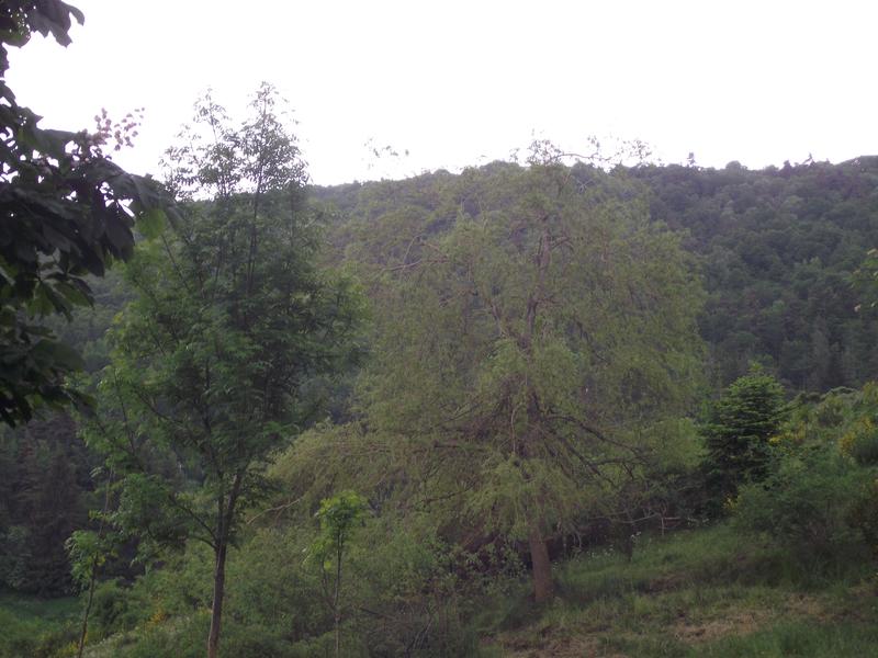 Ferme - 222 m² - 6 pièces