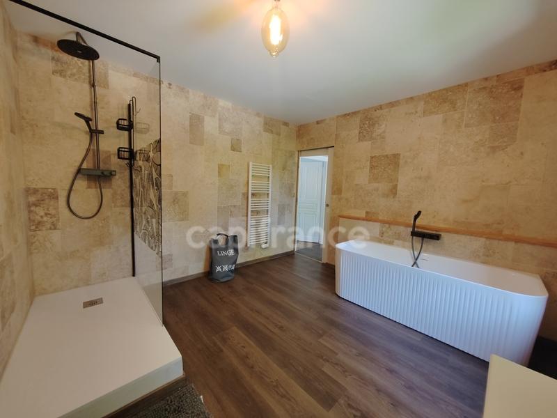 Moulin - 395 m² - 13 pièces