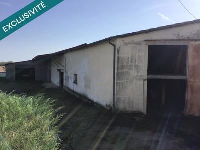 Local commercial - 1 400 m² - 2 pièces