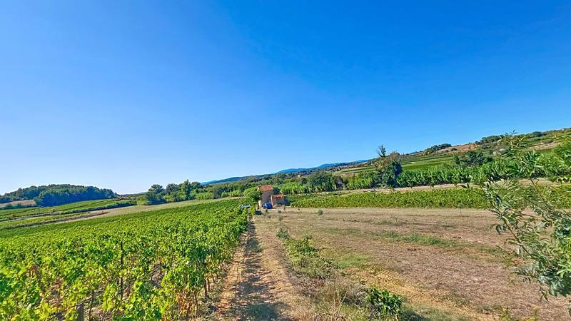 Terrain agricole - 100 000 m²