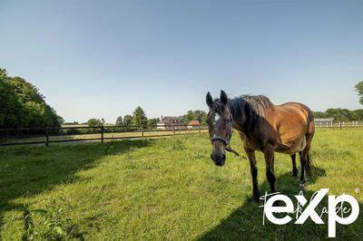 Maison - 135 m² - 7 pièces