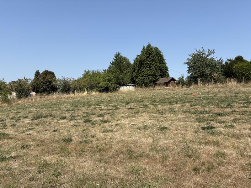 Terrain - 1 557 m²