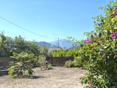 Viager - Maison - 110 m² - 4 pièces