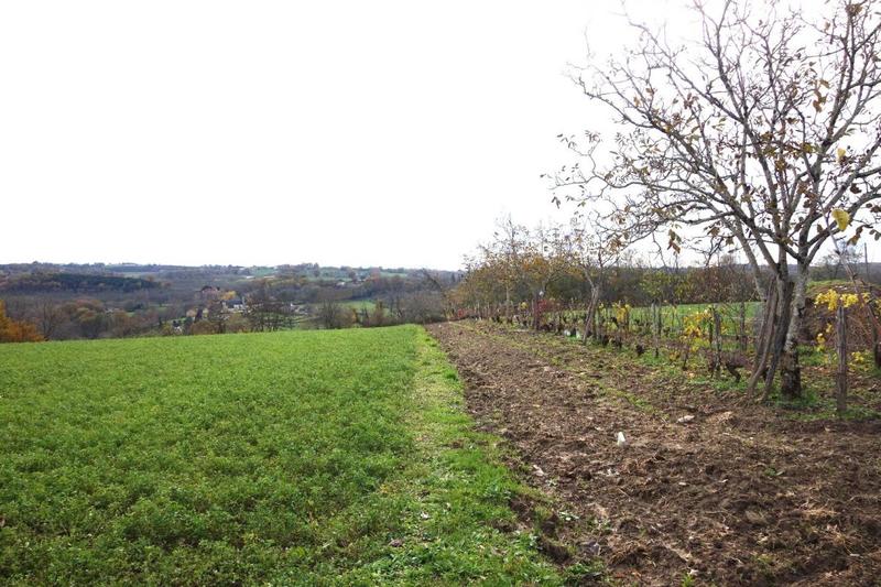 Terrain - 13 556 m²