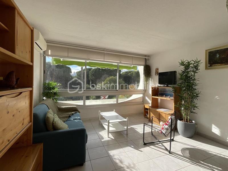 Studio - 24 m² - 1 pièce