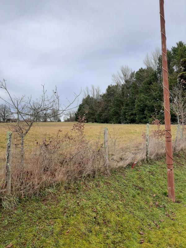 Terrain constructible - 1 267 m²