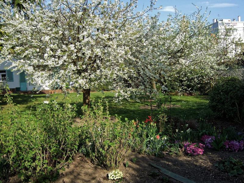 Maison - 131 m² - 5 pièces