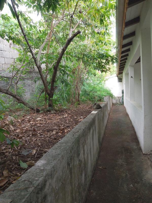 Maison - 60 m² - 4 pièces