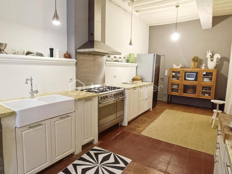 Hôtel particulier - 247 m² - 6 pièces