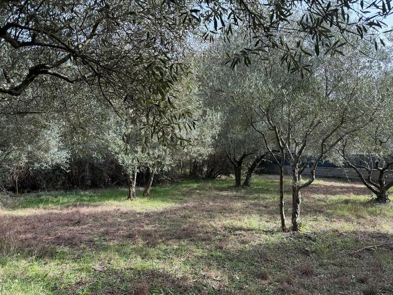 Terrain constructible - 529 m²