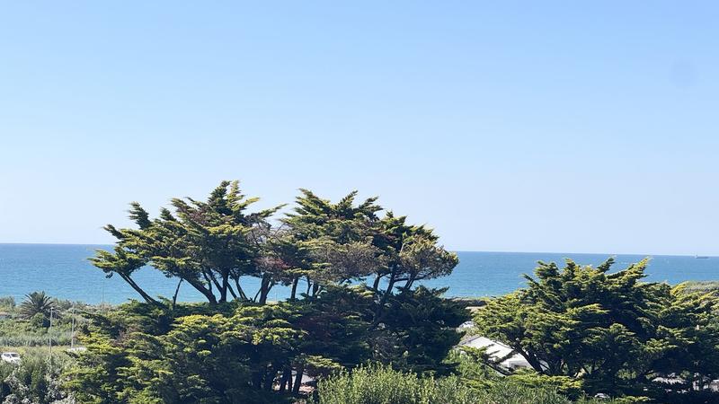 Maison contemporaine - 291 m² - 6 pièces