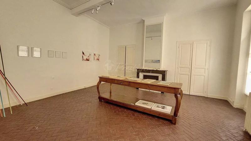 Hôtel particulier - 8 pièces