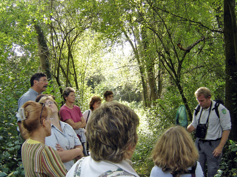 Journée mondiale des zones humides - découverte de la réserve naturelle de Rhinau