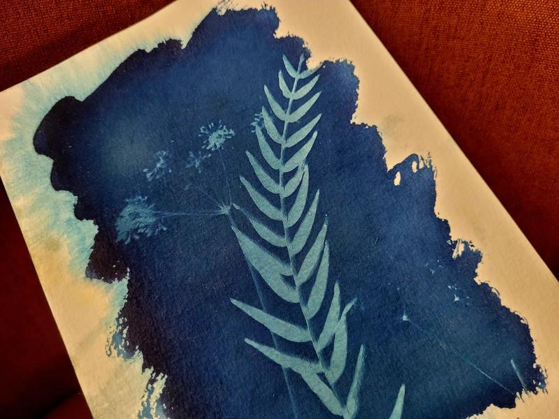 Atelier Cyanotype : l’Art du Bleu Solaire