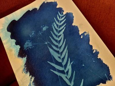 Atelier Cyanotype : l’Art du Bleu Solaire