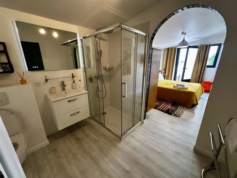 Maison chambre d'hôtes - 340 m² - 8 pièces