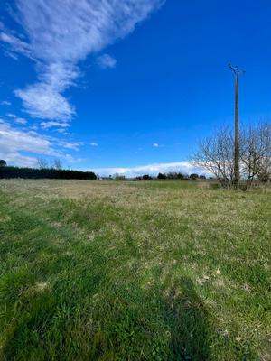 Terrain - 36 155 m²