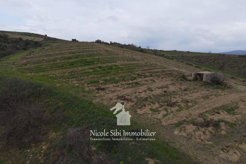 Terrain agricole - 40 428 m²