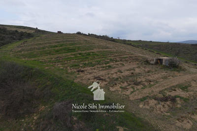 Terrain agricole - 40 428 m²