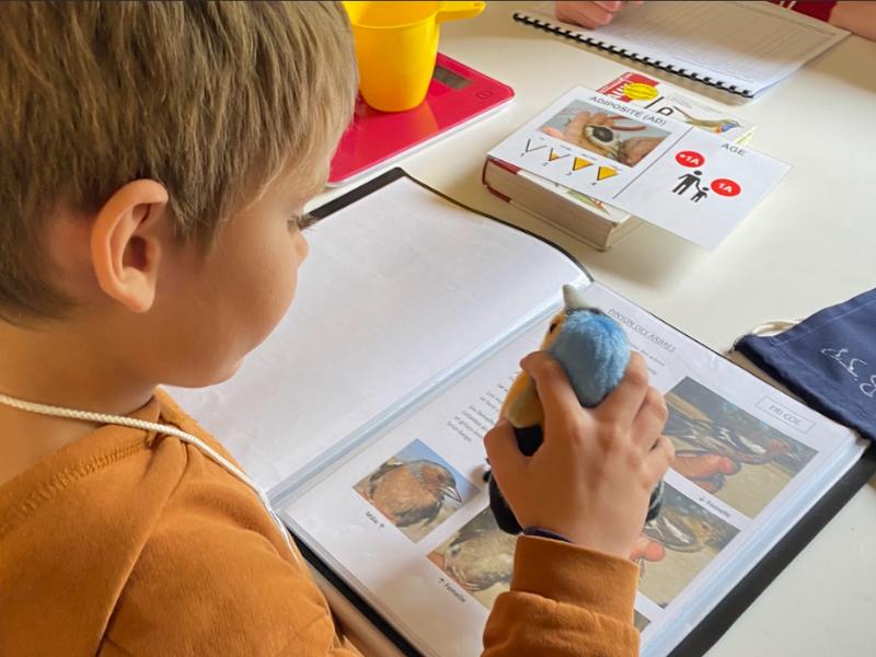 Dans la peau d'un bagueur à Terres d'Oiseaux