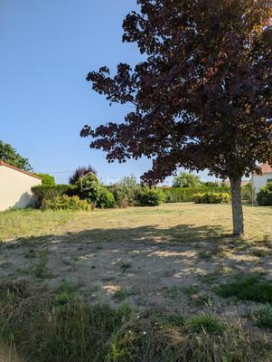 Terrain - 483 m²