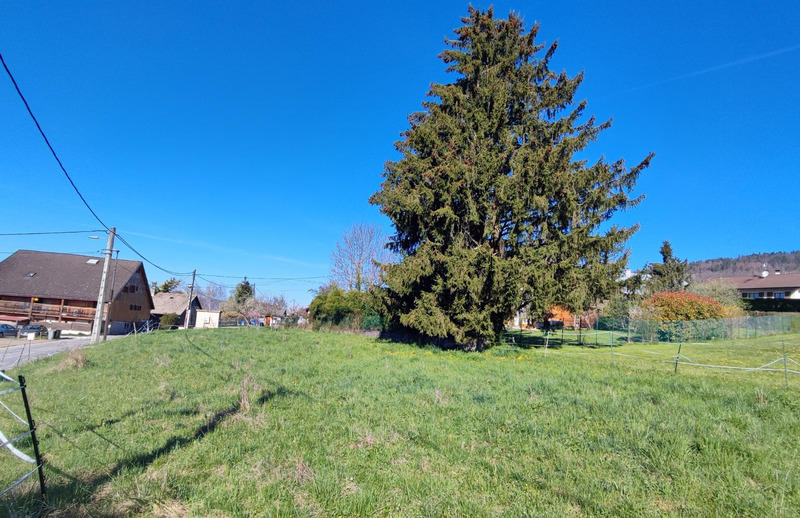Terrain constructible - 1 591 m²