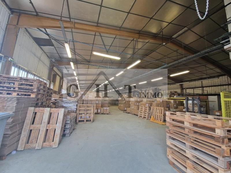 Entrepôt - 1 077 m²