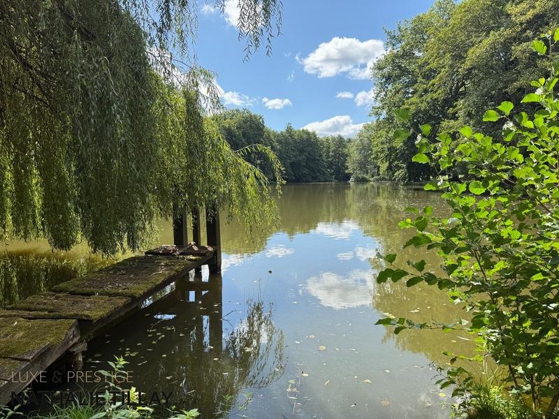 Maison de maîtres - 365 m² - 12 pièces