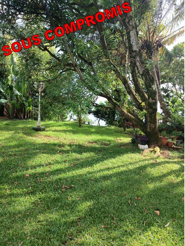 Maison - 65 m² - 3 pièces