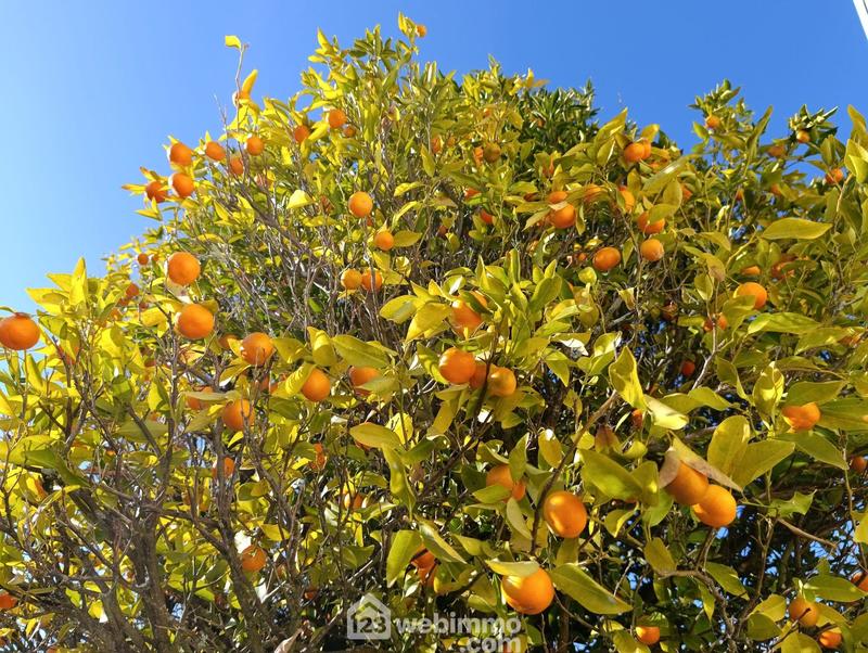 Maison - 154 m² - 7 pièces