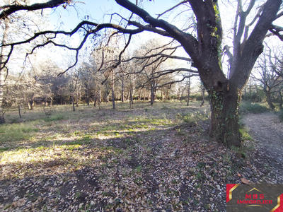 Terrain agricole - 3 705 m²