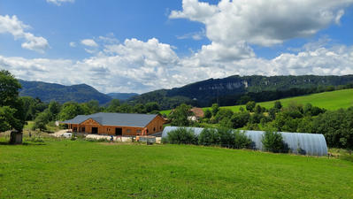 Maison de domaine équestre - 1 000 m² - 12 pièces