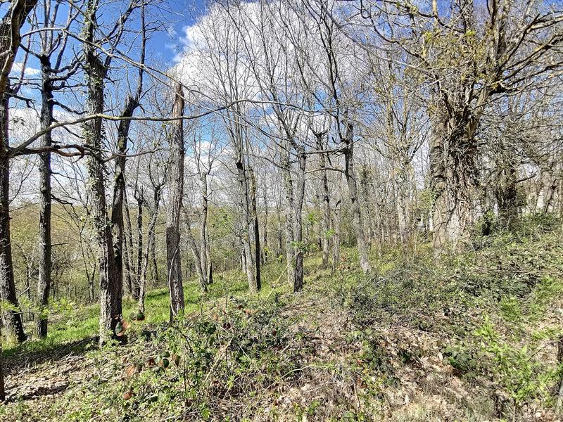 Terrain constructible - 850 m²