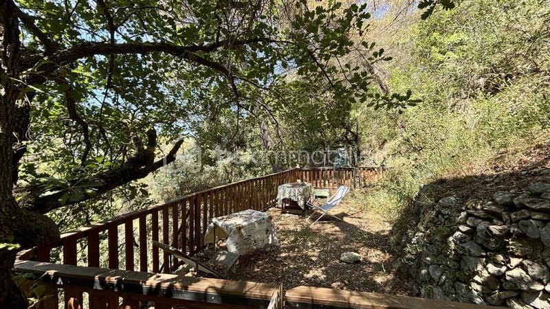 Maison en pierre - 77 m² - 3 pièces