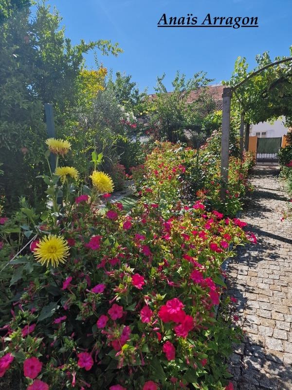 Maison de ville - 80 m² - 4 pièces