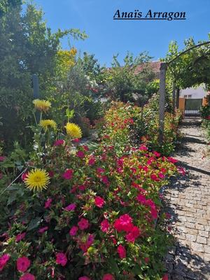 Maison de ville - 80 m² - 4 pièces