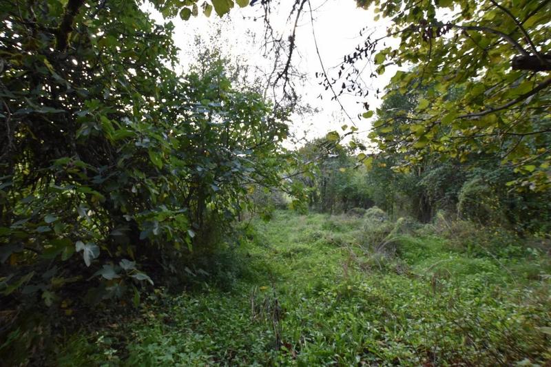 Grange - 70 m² - 1 pièce