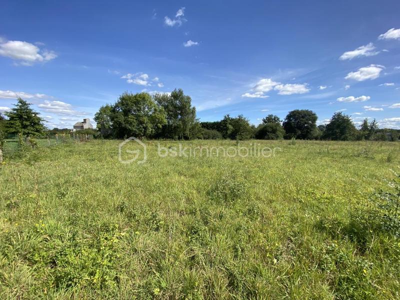 Terrain - 4 432 m²