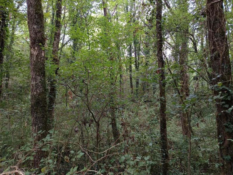 Terrain agricole - 33 821 m²