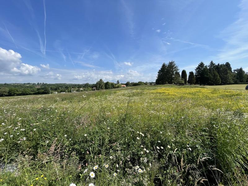 Terrain constructible - 1 267 m²