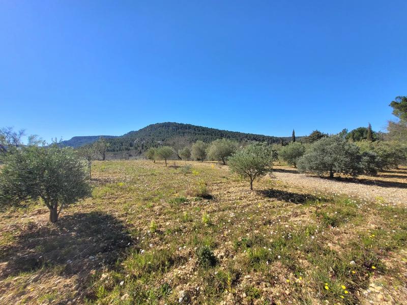 Terrain constructible - 2 579 m²