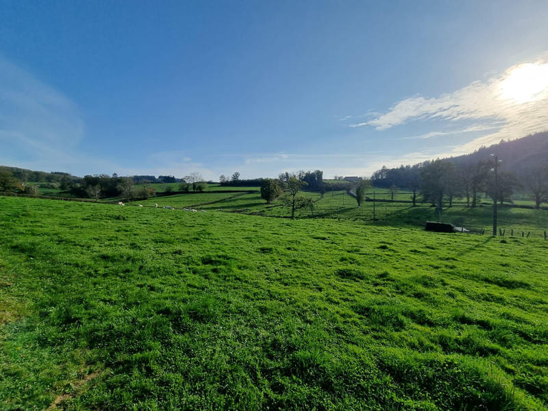 Maison - 232 m² - 8 pièces