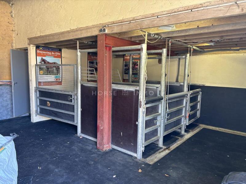 Maison - 310 m² - 7 pièces